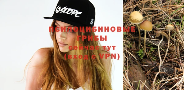 apvp Белокуриха