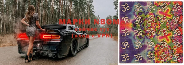 apvp Белокуриха