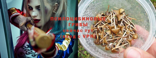 apvp Белокуриха