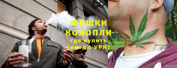 apvp Белокуриха