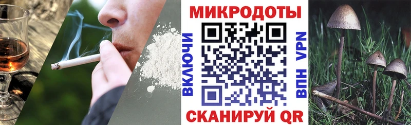 площадка какой сайт  Шацк  Галлюциногенные грибы мухоморы 